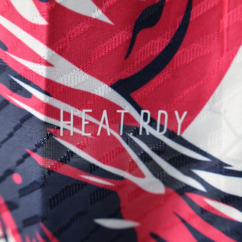 Player Version 2025 Japan White with Blue and Red Bird Jersey