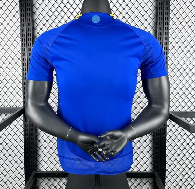 Player Version 2025 Argentina Away Blue Jersey