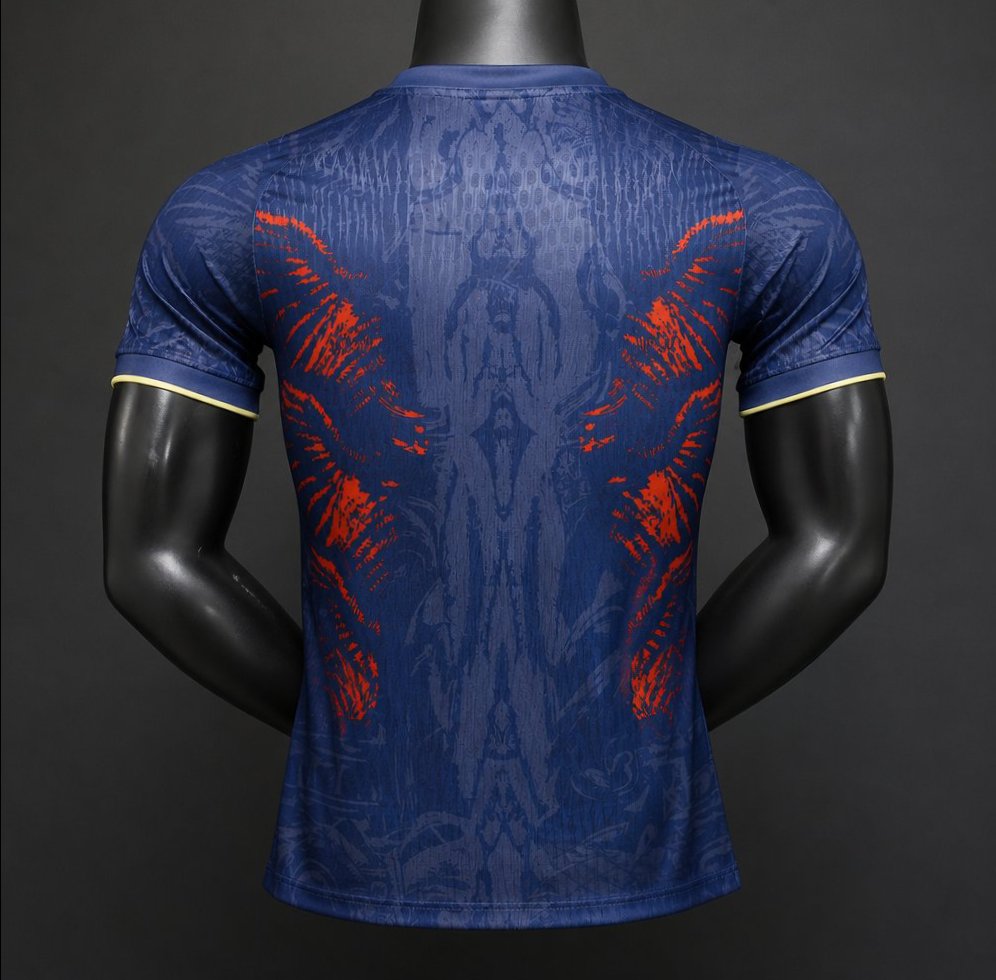 Player Version 26/27 PSG/Paris Saint-Germain Special Edition Jersey